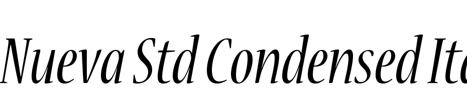 Nueva Std Condensed Italic Font Download Free